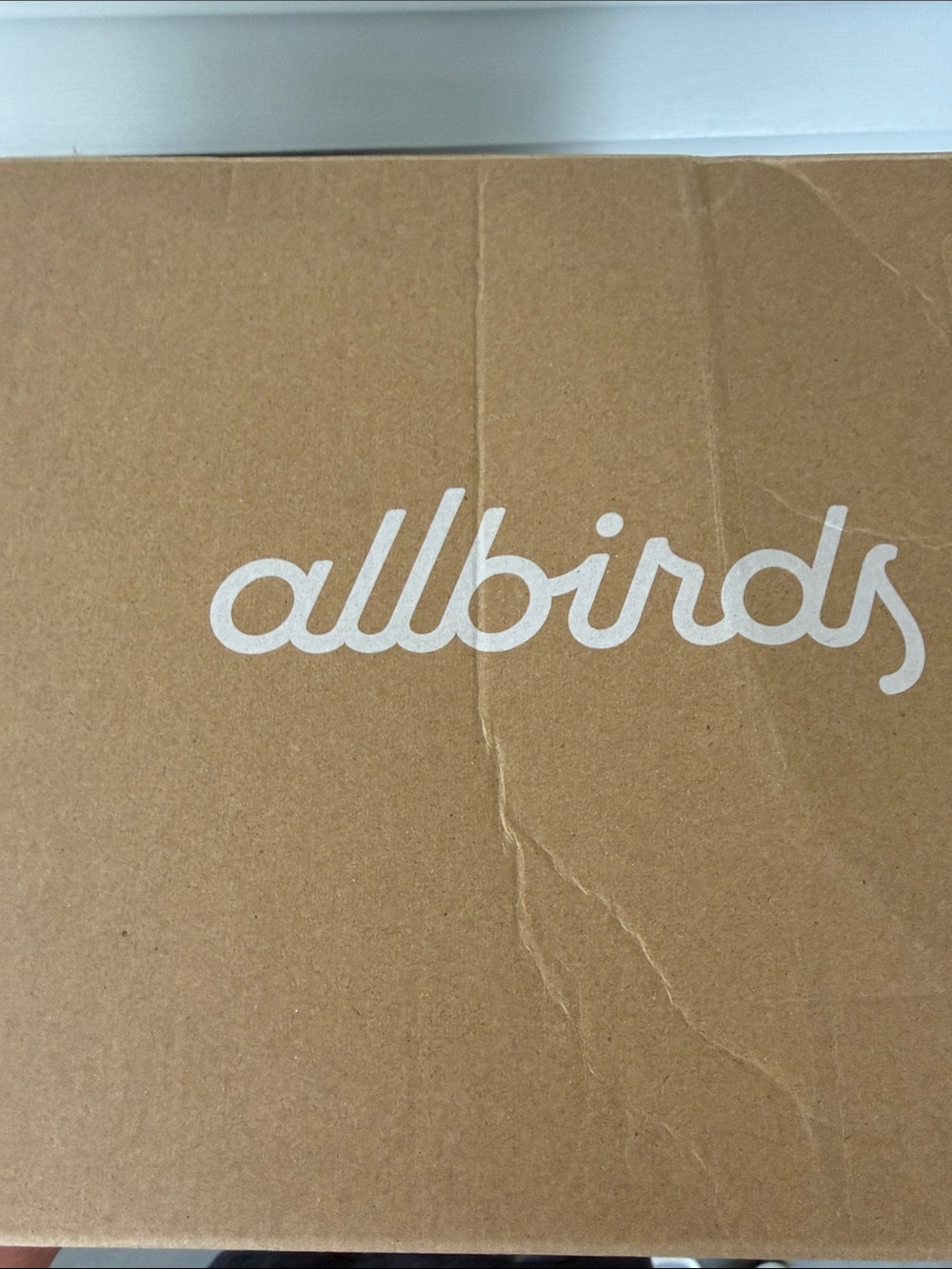 allbirds Brown Box with White Logo